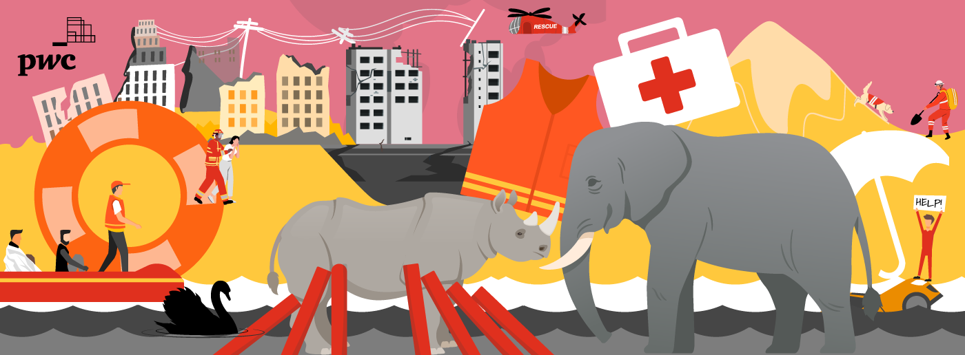 How to befriend a rhino with crisis management