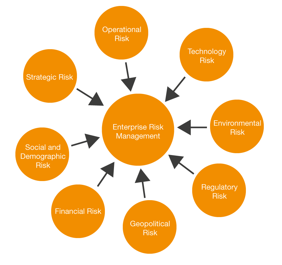 An Actuarial take on Enterprise Risk Management